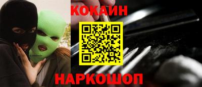 шишки Гай
