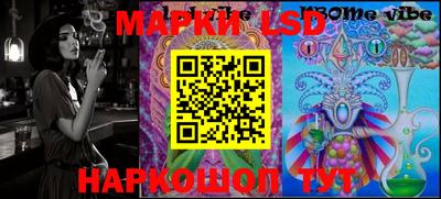 шишки Гай