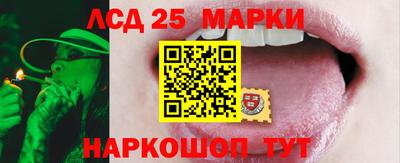 шишки Гай
