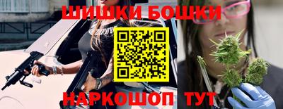 шишки Гай