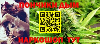 шишки Гай