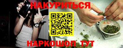 шишки Гай