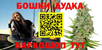 шишки Гай