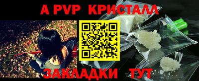 шишки Гай
