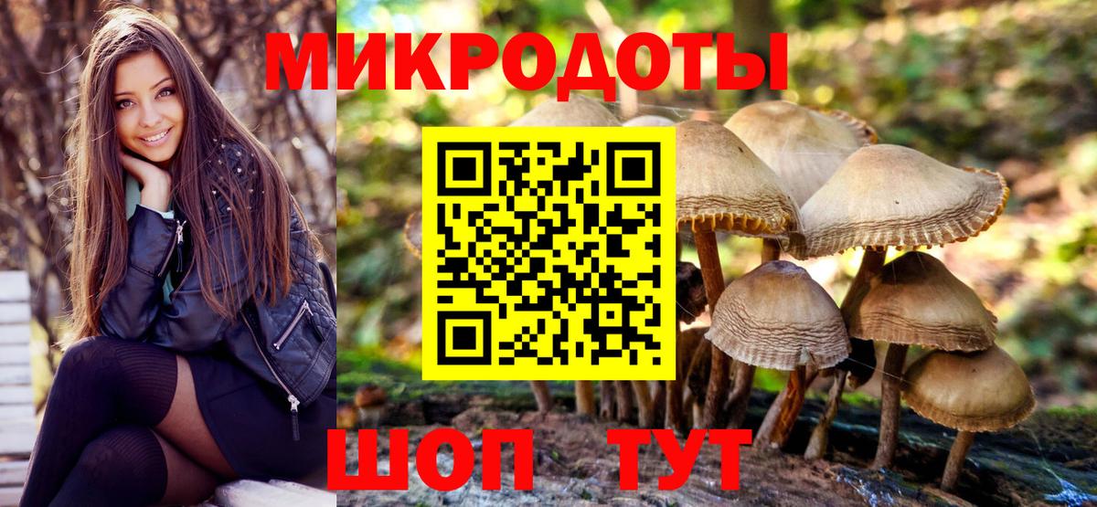 Псилоцибиновые грибы мицелий Минусинск