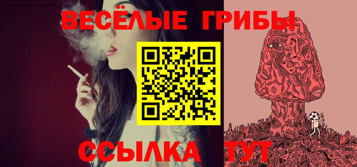 Минусинск  Псилоцибиновые грибы Cubensis  Псилоцибиновые грибы MAGIC MUSHROOMS  Вход с VPN 